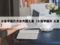 小提琴图片大全大图儿童（小提琴图片 儿童）