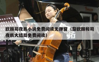 欧颜司夜辰小说免费阅读无弹窗（黎欧颜和司夜辰大结局免费阅读）