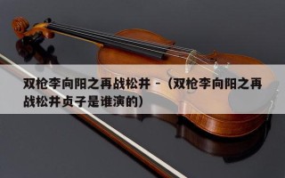 双枪李向阳之再战松井 -（双枪李向阳之再战松井贞子是谁演的）