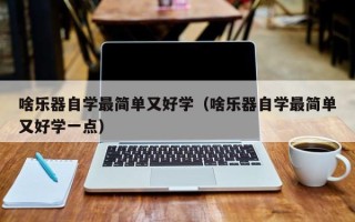 啥乐器自学最简单又好学（啥乐器自学最简单又好学一点）