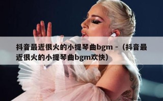 抖音最近很火的小提琴曲bgm -（抖音最近很火的小提琴曲bgm欢快）