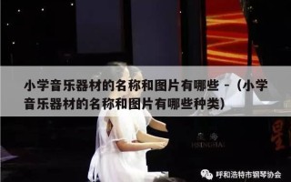 小学音乐器材的名称和图片有哪些 -（小学音乐器材的名称和图片有哪些种类）