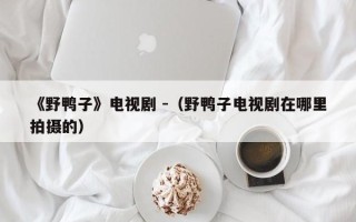 《野鸭子》电视剧 -（野鸭子电视剧在哪里拍摄的）