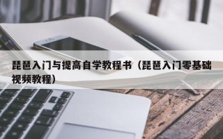 琵琶入门与提高自学教程书（琵琶入门零基础视频教程）