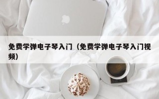 免费学弹电子琴入门（免费学弹电子琴入门视频）