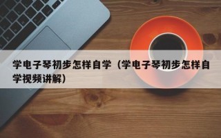 学电子琴初步怎样自学（学电子琴初步怎样自学视频讲解）