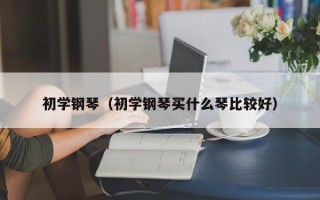 初学钢琴（初学钢琴买什么琴比较好）