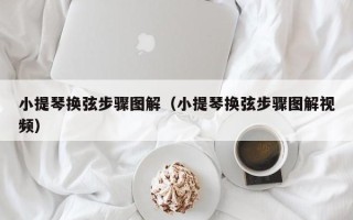 小提琴换弦步骤图解（小提琴换弦步骤图解视频）