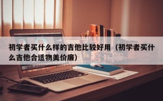 初学者买什么样的吉他比较好用（初学者买什么吉他合适物美价廉）