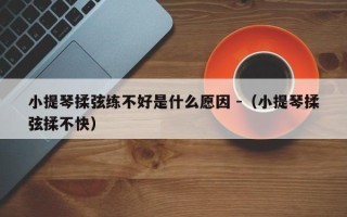 小提琴揉弦练不好是什么愿因 -（小提琴揉弦揉不快）