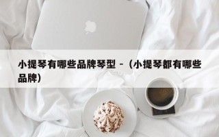 小提琴有哪些品牌琴型 -（小提琴都有哪些品牌）