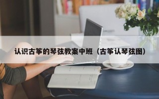 认识古筝的琴弦教案中班（古筝认琴弦图）