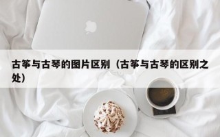 古筝与古琴的图片区别（古筝与古琴的区别之处）