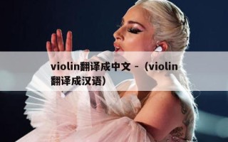 violin翻译成中文 -（violin翻译成汉语）