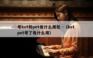 考ket和pet有什么用处 -（ket pet考了有什么用）