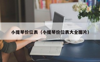 小提琴价位表（小提琴价位表大全图片）