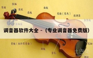 调音器软件大全 -（专业调音器免费版）