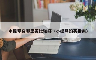 小提琴在哪里买比较好（小提琴购买指南）