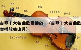 古琴十大名曲欣赏播放 -（古琴十大名曲欣赏播放关山月）