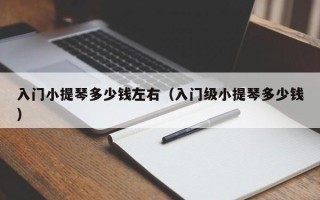 入门小提琴多少钱左右（入门级小提琴多少钱）