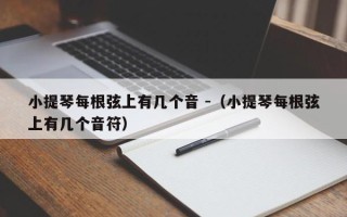 小提琴每根弦上有几个音 -（小提琴每根弦上有几个音符）