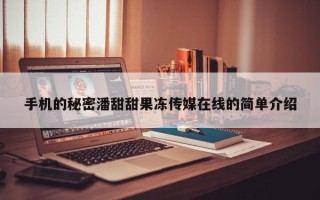 手机的秘密潘甜甜果冻传媒在线的简单介绍