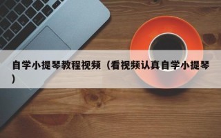 自学小提琴教程视频（看视频认真自学小提琴）