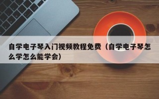 自学电子琴入门视频教程免费（自学电子琴怎么学怎么能学会）