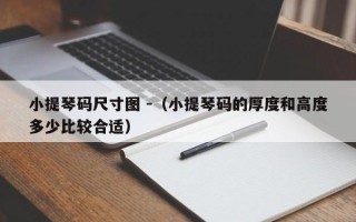 小提琴码尺寸图 -（小提琴码的厚度和高度多少比较合适）