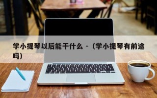 学小提琴以后能干什么 -（学小提琴有前途吗）