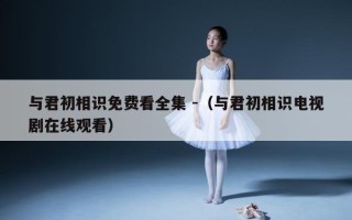 与君初相识免费看全集 -（与君初相识电视剧在线观看）