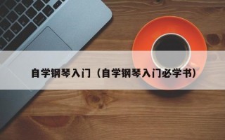 自学钢琴入门（自学钢琴入门必学书）