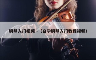 钢琴入门视频 -（自学钢琴入门教程视频）