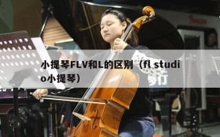 小提琴FLV和L的区别（fl studio小提琴）