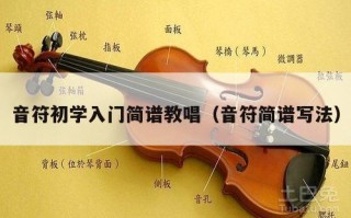 音符初学入门简谱教唱（音符简谱写法）