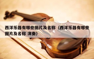 西洋乐器有哪些图片及名称（西洋乐器有哪些图片及名称 演奏）