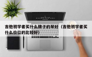 吉他初学者买什么牌子的琴好（吉他初学者买什么价位的比较好）