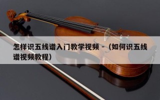 怎样识五线谱入门教学视频 -（如何识五线谱视频教程）