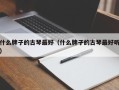 什么牌子的古琴最好（什么牌子的古琴最好听）