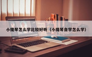 小提琴怎么学比较好听（小提琴自学怎么学）