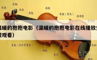 温暖的抱抱电影（温暖的抱抱电影在线播放免费观看）