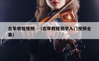 古筝教程视频 -（古琴教程初学入门视频全集）