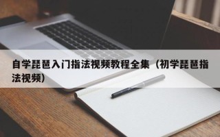 自学琵琶入门指法视频教程全集（初学琵琶指法视频）