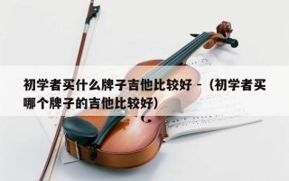 初学者买什么牌子吉他比较好 -（初学者买哪个牌子的吉他比较好）