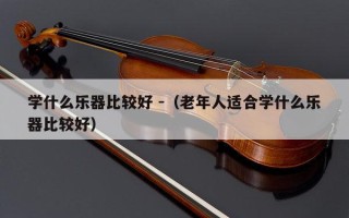 学什么乐器比较好 -（老年人适合学什么乐器比较好）