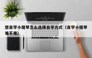 想自学小提琴怎么选择自学方式（自学小提琴难不难）