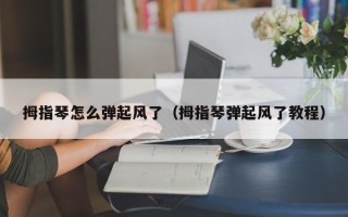 拇指琴怎么弹起风了（拇指琴弹起风了教程）