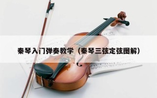 秦琴入门弹奏教学（秦琴三弦定弦图解）