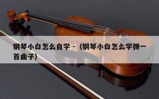 钢琴小白怎么自学 -（钢琴小白怎么学弹一首曲子）