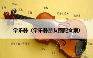 学乐器（学乐器朋友圈配文案）